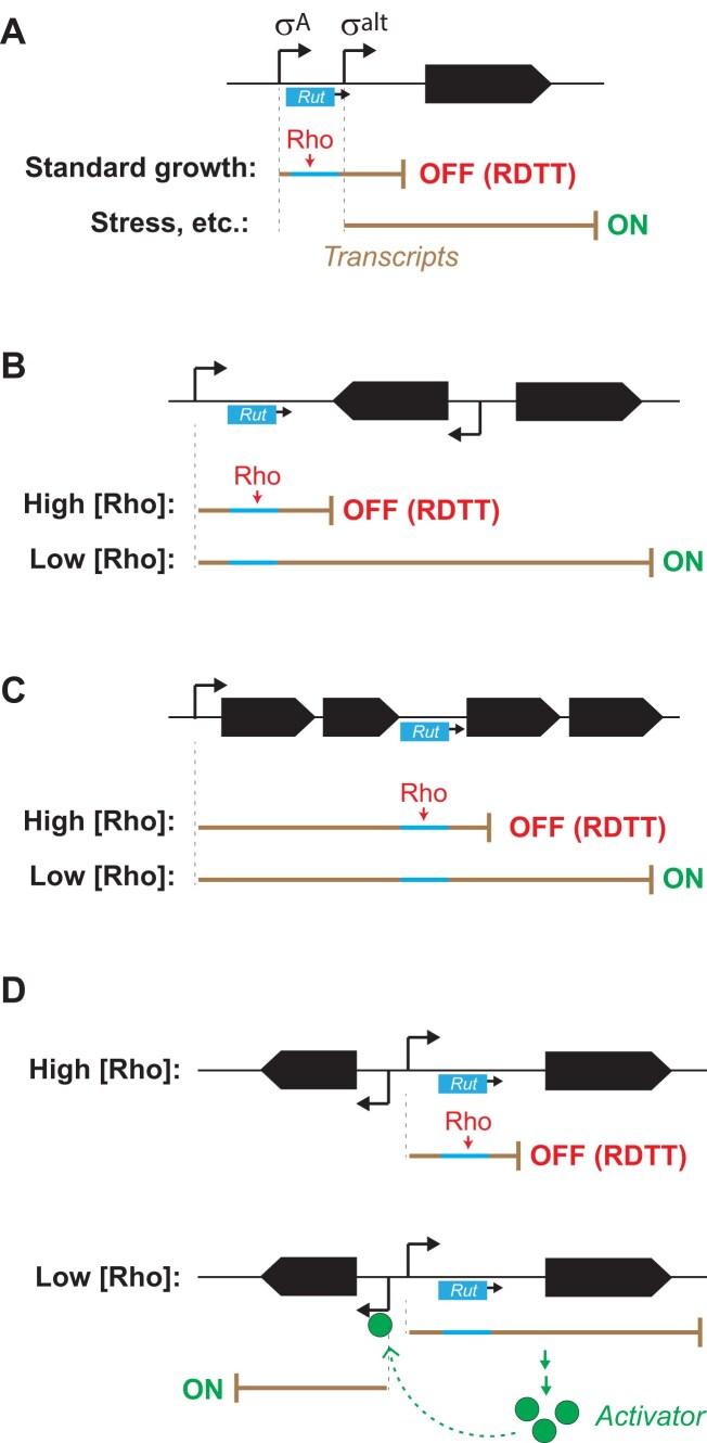 https://cdn.ncbi.nlm.nih.gov/pmc/blobs/0ca2/12350095/f4defc7121ee/gkaf765fig8.jpg