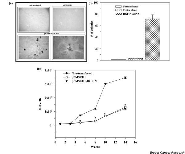 https://cdn.ncbi.nlm.nih.gov/pmc/blobs/0ca4/2242655/25d1748a4f71/bcr1764-2.jpg