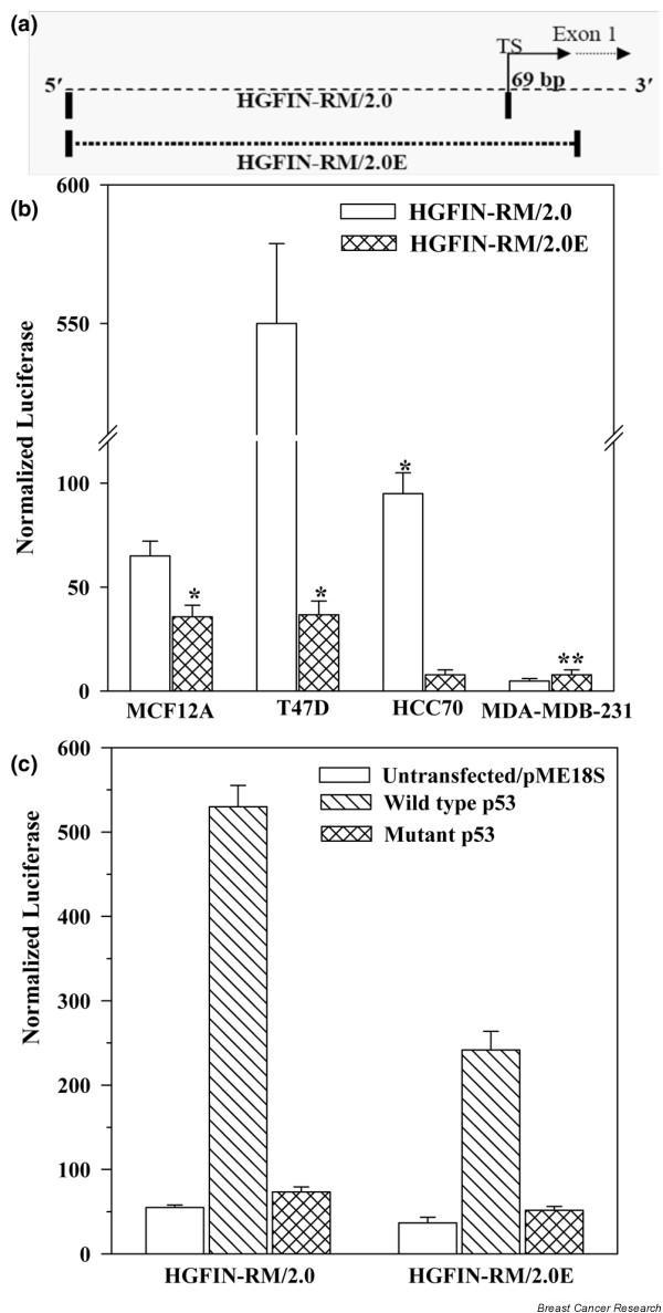 https://cdn.ncbi.nlm.nih.gov/pmc/blobs/0ca4/2242655/a03bb3683af5/bcr1764-5.jpg