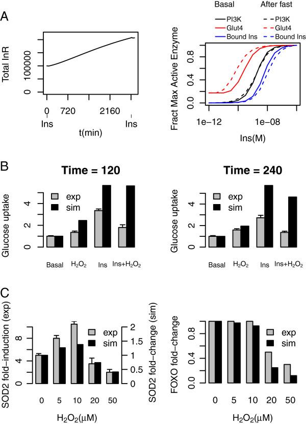 https://cdn.ncbi.nlm.nih.gov/pmc/blobs/0ca5/3668293/0c06e642bbd9/1752-0509-7-41-3.jpg