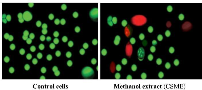 https://cdn.ncbi.nlm.nih.gov/pmc/blobs/0ca9/6408718/552232827fe5/gr3.jpg