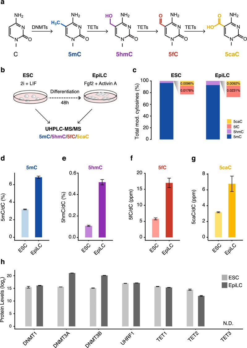 https://cdn.ncbi.nlm.nih.gov/pmc/blobs/0cac/7374584/5b781045fb2d/41598_2020_68600_Fig1_HTML.jpg