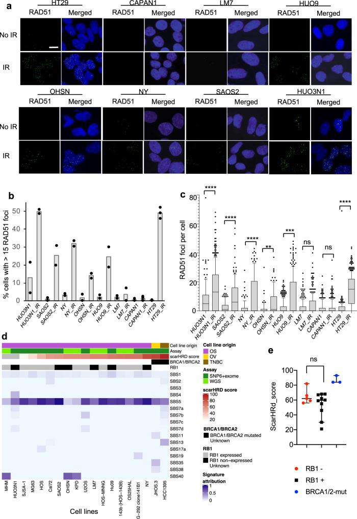https://cdn.ncbi.nlm.nih.gov/pmc/blobs/0cac/8642453/18ac6584ee17/41467_2021_27291_Fig5_HTML.jpg