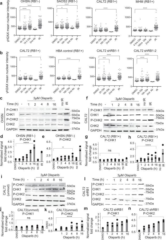 https://cdn.ncbi.nlm.nih.gov/pmc/blobs/0cac/8642453/47bab5e602ab/41467_2021_27291_Fig7_HTML.jpg