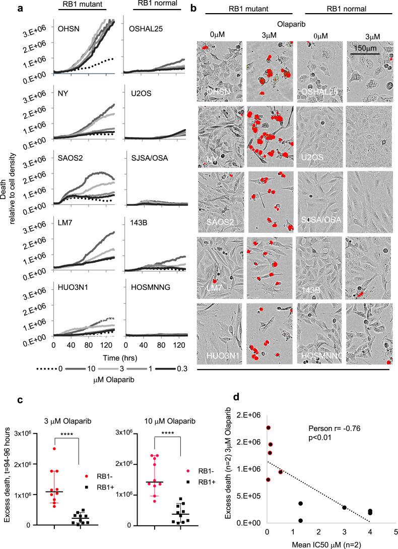 https://cdn.ncbi.nlm.nih.gov/pmc/blobs/0cac/8642453/a2c004b9869f/41467_2021_27291_Fig3_HTML.jpg