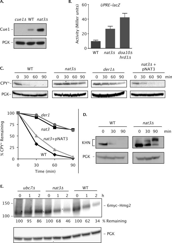 https://cdn.ncbi.nlm.nih.gov/pmc/blobs/0cad/3608499/0ed3932b0408/890fig2.jpg