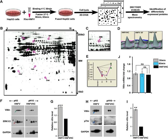 https://cdn.ncbi.nlm.nih.gov/pmc/blobs/0cb1/5739296/2de1c6608ebc/3801fig1.jpg