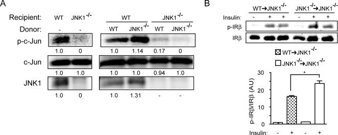 https://cdn.ncbi.nlm.nih.gov/pmc/blobs/0cb2/2528001/a3e7f6721da4/pone.0003151.g007.jpg