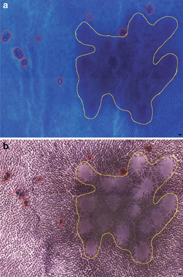 https://cdn.ncbi.nlm.nih.gov/pmc/blobs/0cb2/3284111/364608b5e486/1480-9222-12-1-9032-5.jpg