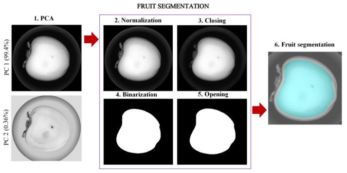 https://cdn.ncbi.nlm.nih.gov/pmc/blobs/0cb2/8468948/4310406a966e/foods-10-02170-g003.jpg
