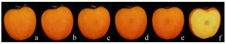 https://cdn.ncbi.nlm.nih.gov/pmc/blobs/0cb2/8468948/56c56a78de19/foods-10-02170-g002.jpg