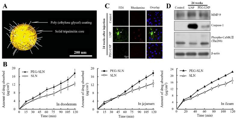 https://cdn.ncbi.nlm.nih.gov/pmc/blobs/0cb4/10058399/9c81d52a8061/pharmaceutics-15-00772-g005.jpg