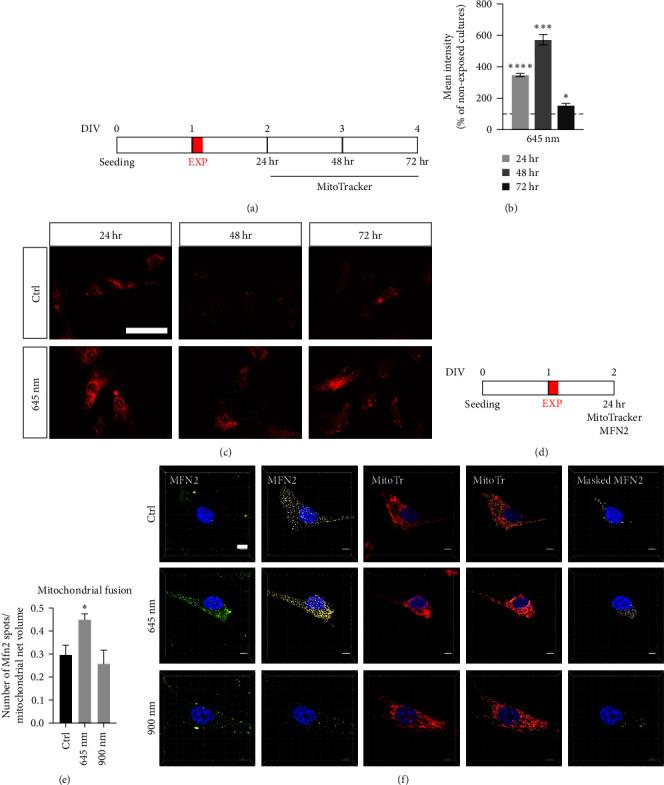 https://cdn.ncbi.nlm.nih.gov/pmc/blobs/0cba/10471456/789bcb83fb7e/OMCL2023-7638223.003.jpg