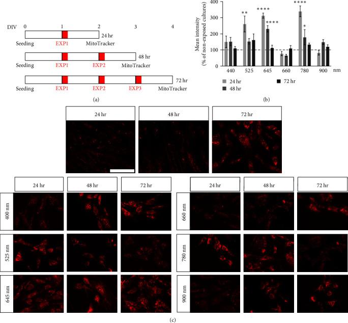 https://cdn.ncbi.nlm.nih.gov/pmc/blobs/0cba/10471456/8d8c34645fb6/OMCL2023-7638223.002.jpg