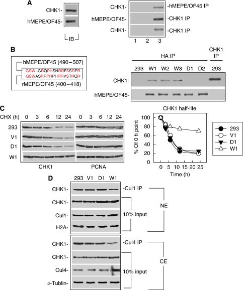 https://cdn.ncbi.nlm.nih.gov/pmc/blobs/0cba/2833259/671e7d7242f2/6605572f2.jpg