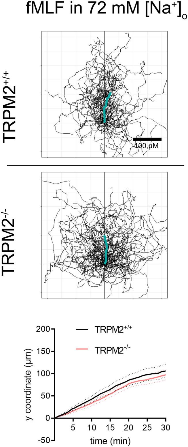 https://cdn.ncbi.nlm.nih.gov/pmc/blobs/0cba/7506047/4205870f5446/fimmu-11-02124-g0007.jpg
