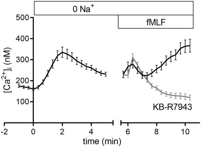 https://cdn.ncbi.nlm.nih.gov/pmc/blobs/0cba/7506047/7ad3948fd110/fimmu-11-02124-g0005.jpg
