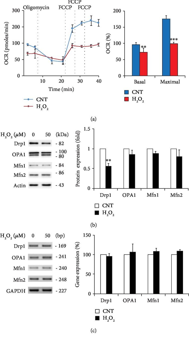 https://cdn.ncbi.nlm.nih.gov/pmc/blobs/0cbc/6875302/2a9f0ba9d639/OMCL2019-8060962.003.jpg