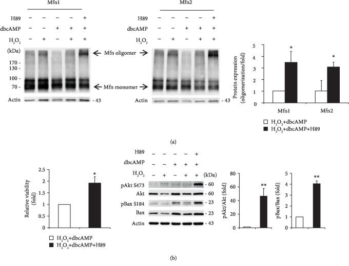https://cdn.ncbi.nlm.nih.gov/pmc/blobs/0cbc/6875302/9be2f048ab62/OMCL2019-8060962.007.jpg