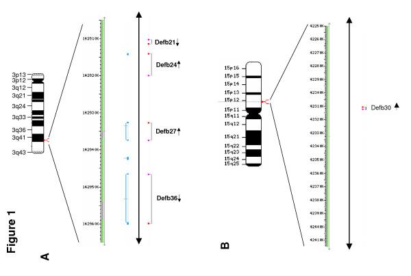 https://cdn.ncbi.nlm.nih.gov/pmc/blobs/0cbe/1420305/10f204b931dc/1477-7827-4-7-1.jpg