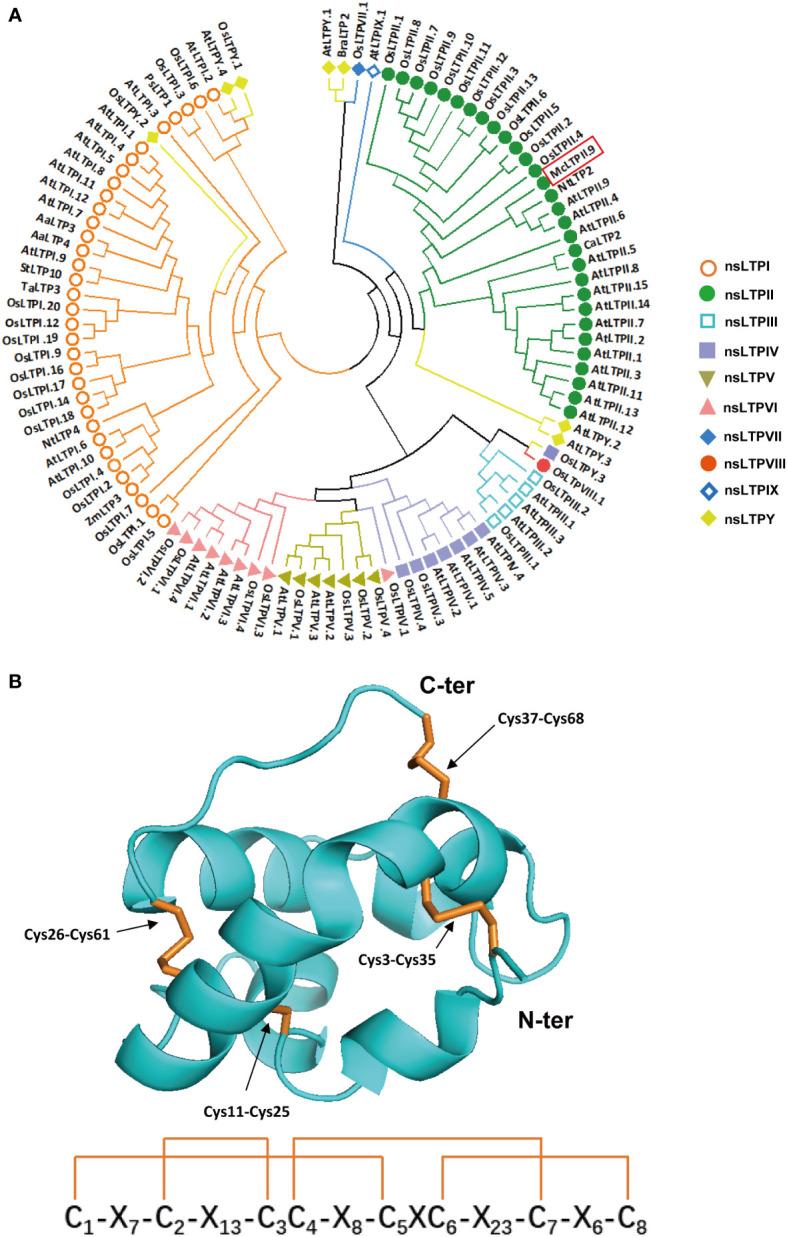 https://cdn.ncbi.nlm.nih.gov/pmc/blobs/0cc0/10264783/d951b0c8f335/fpls-14-1188922-g001.jpg