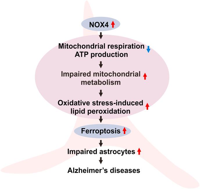 https://cdn.ncbi.nlm.nih.gov/pmc/blobs/0cc0/8027773/b8487d7c5f69/gr8.jpg