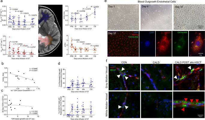 https://cdn.ncbi.nlm.nih.gov/pmc/blobs/0cc3/10076264/24f6493e6083/41467_2023_37262_Fig4_HTML.jpg