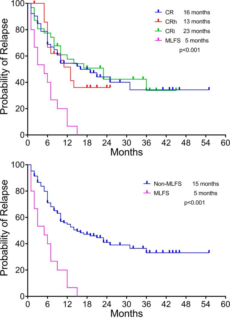 https://cdn.ncbi.nlm.nih.gov/pmc/blobs/0cc3/11868202/fce1a4516601/277_2024_5976_Fig2_HTML.jpg