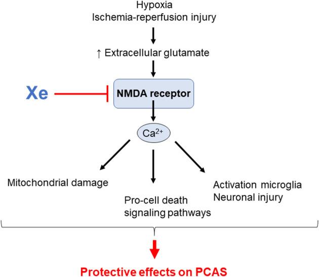 https://cdn.ncbi.nlm.nih.gov/pmc/blobs/0cc3/7873953/71b3b0f95dfb/fmed-07-586229-g0004.jpg