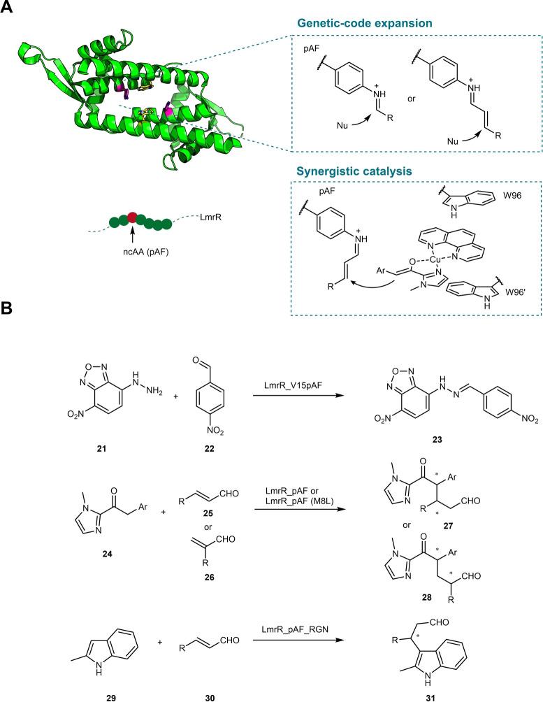 https://cdn.ncbi.nlm.nih.gov/pmc/blobs/0cc3/9400869/3c9ab508452e/ANIE-61-0-g006.jpg
