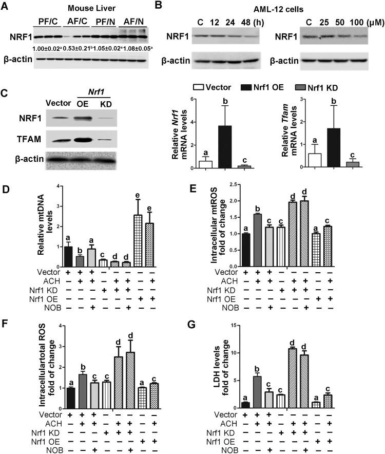 https://cdn.ncbi.nlm.nih.gov/pmc/blobs/0cc7/11370696/1f6757807ab3/YRER_A_2395779_F0006_OB.jpg