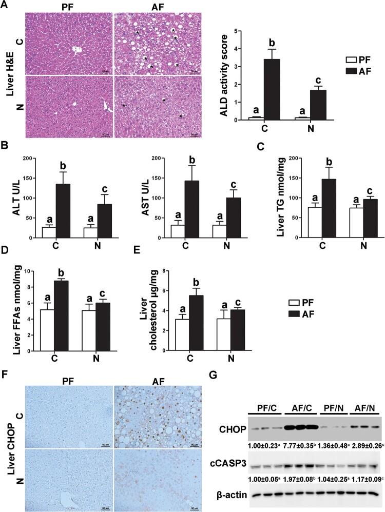 https://cdn.ncbi.nlm.nih.gov/pmc/blobs/0cc7/11370696/ab33ec16b2dc/YRER_A_2395779_F0001_OC.jpg