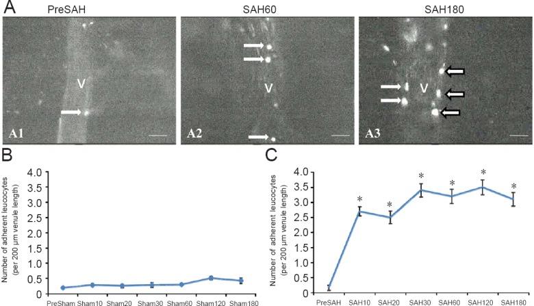 https://cdn.ncbi.nlm.nih.gov/pmc/blobs/0cc7/5900508/f1c5c9dc80fe/NRR-13-456-g007.jpg