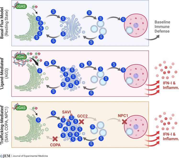 https://cdn.ncbi.nlm.nih.gov/pmc/blobs/0cc7/9930166/619840a1cb9d/JEM_20220990_Fig4.jpg