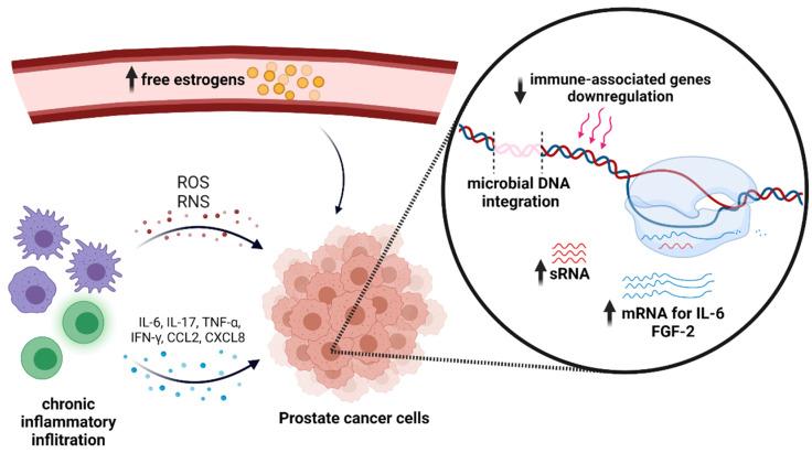 https://cdn.ncbi.nlm.nih.gov/pmc/blobs/0cc9/8538262/37c0610e32d7/jcm-10-04772-g001.jpg