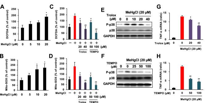 https://cdn.ncbi.nlm.nih.gov/pmc/blobs/0cca/8110582/5218bff57c79/41598_2021_89210_Fig4_HTML.jpg
