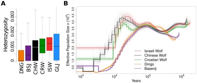 https://cdn.ncbi.nlm.nih.gov/pmc/blobs/0ccb/3894170/293cc62bdd5d/pgen.1004016.g003.jpg