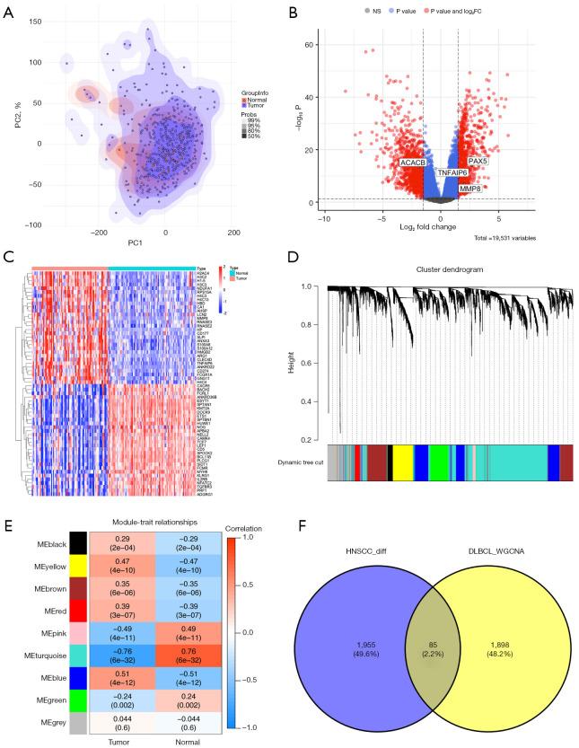 https://cdn.ncbi.nlm.nih.gov/pmc/blobs/0ccc/11651739/69ce55ca0f42/tcr-13-11-5725-f2.jpg