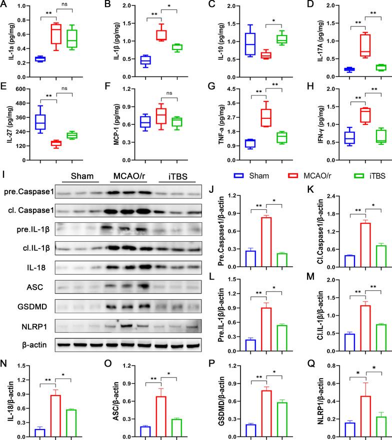 https://cdn.ncbi.nlm.nih.gov/pmc/blobs/0ccd/9188077/080ff6239623/12974_2022_2501_Fig5_HTML.jpg