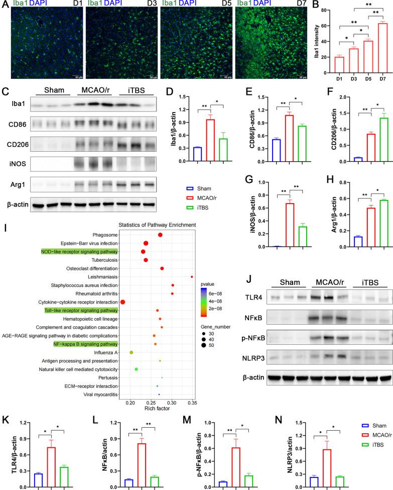 https://cdn.ncbi.nlm.nih.gov/pmc/blobs/0ccd/9188077/c855a49338ff/12974_2022_2501_Fig9_HTML.jpg