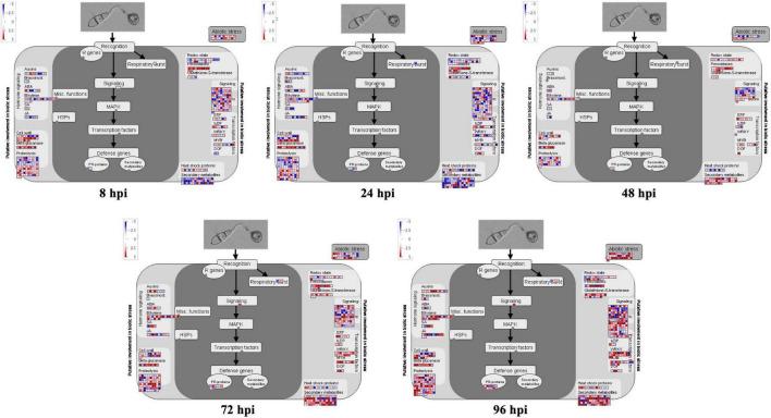 https://cdn.ncbi.nlm.nih.gov/pmc/blobs/0ccf/9016282/32ffad0b7064/fpls-13-723356-g002.jpg