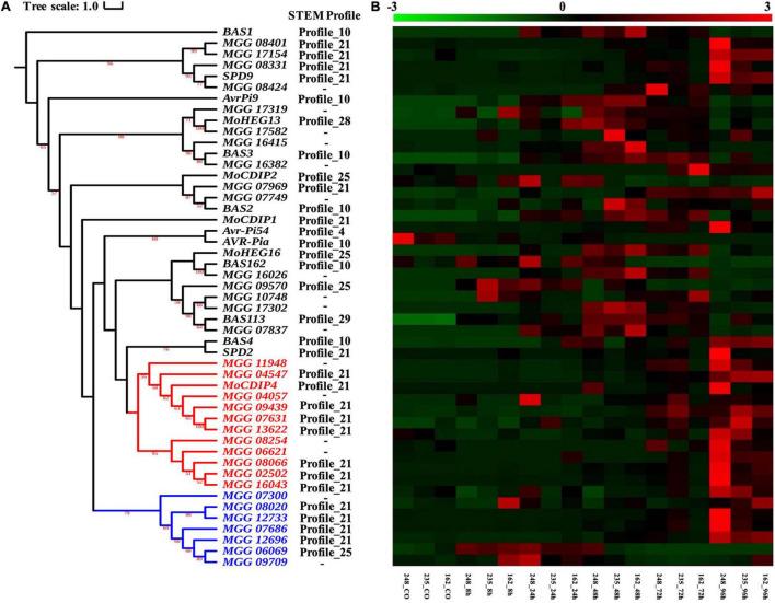 https://cdn.ncbi.nlm.nih.gov/pmc/blobs/0ccf/9016282/475fabc35732/fpls-13-723356-g008.jpg