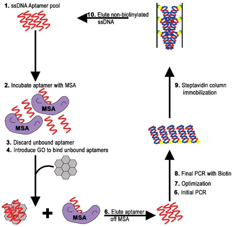 https://cdn.ncbi.nlm.nih.gov/pmc/blobs/0cd1/8951219/ebb1f563d163/molecules-27-01853-g002.jpg