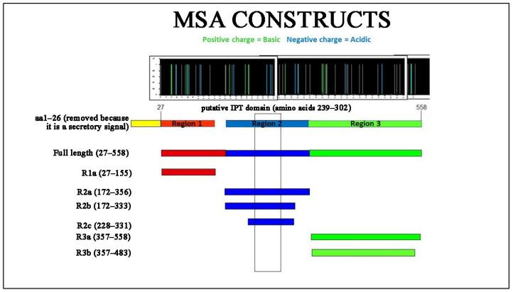 https://cdn.ncbi.nlm.nih.gov/pmc/blobs/0cd1/8951219/f36019a72d1e/molecules-27-01853-g001.jpg