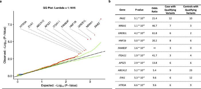 https://cdn.ncbi.nlm.nih.gov/pmc/blobs/0cd3/12332173/430e31b479f3/41467_2025_62319_Fig2_HTML.jpg