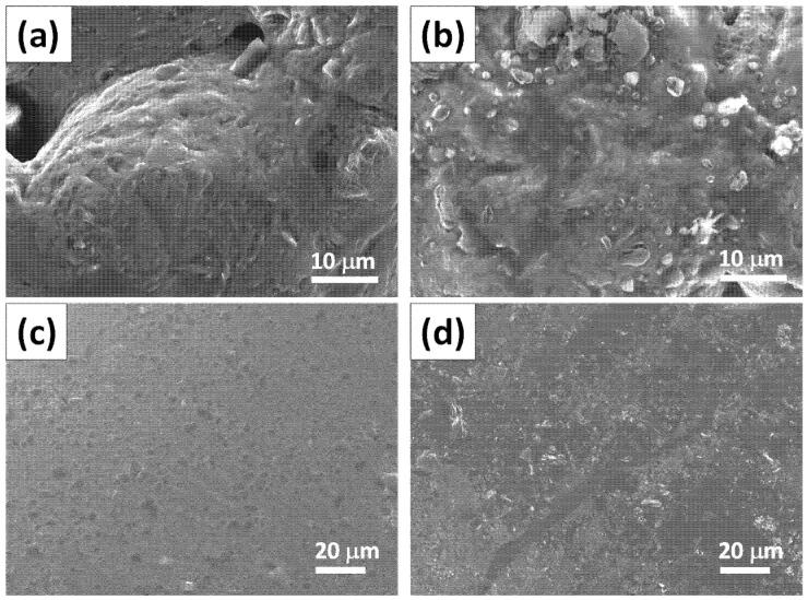 https://cdn.ncbi.nlm.nih.gov/pmc/blobs/0cd3/9784433/e43eeebc9d8e/polymers-14-05542-g002.jpg