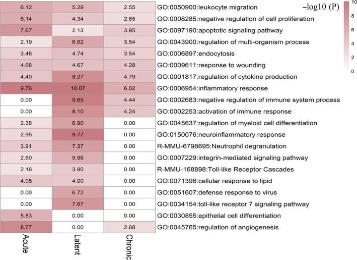 https://cdn.ncbi.nlm.nih.gov/pmc/blobs/0cd6/7702228/93c59f37a22e/CNS-26-1266-g003.jpg