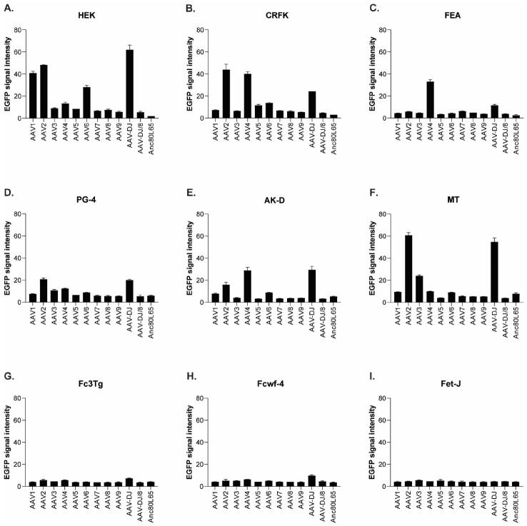 https://cdn.ncbi.nlm.nih.gov/pmc/blobs/0cd7/8402633/c89199cb01ed/viruses-13-01636-g004.jpg