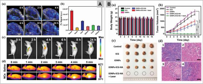 https://cdn.ncbi.nlm.nih.gov/pmc/blobs/0cd7/9108129/15f977bffa1c/40580_2022_313_Fig4_HTML.jpg