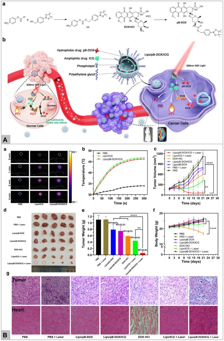 https://cdn.ncbi.nlm.nih.gov/pmc/blobs/0cd7/9108129/21f7fe1cb68f/40580_2022_313_Fig9_HTML.jpg